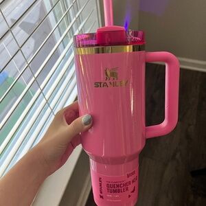 Wicked Glenda NWT Stanley Sparkle Pink